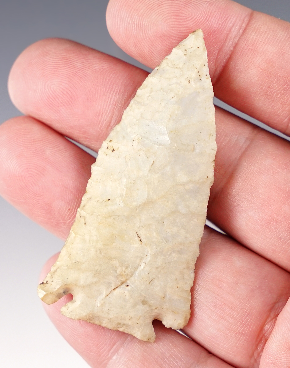 2 7/16" Classic example of a Chalcedony Micronotch found in Licking Co., Ohio. 