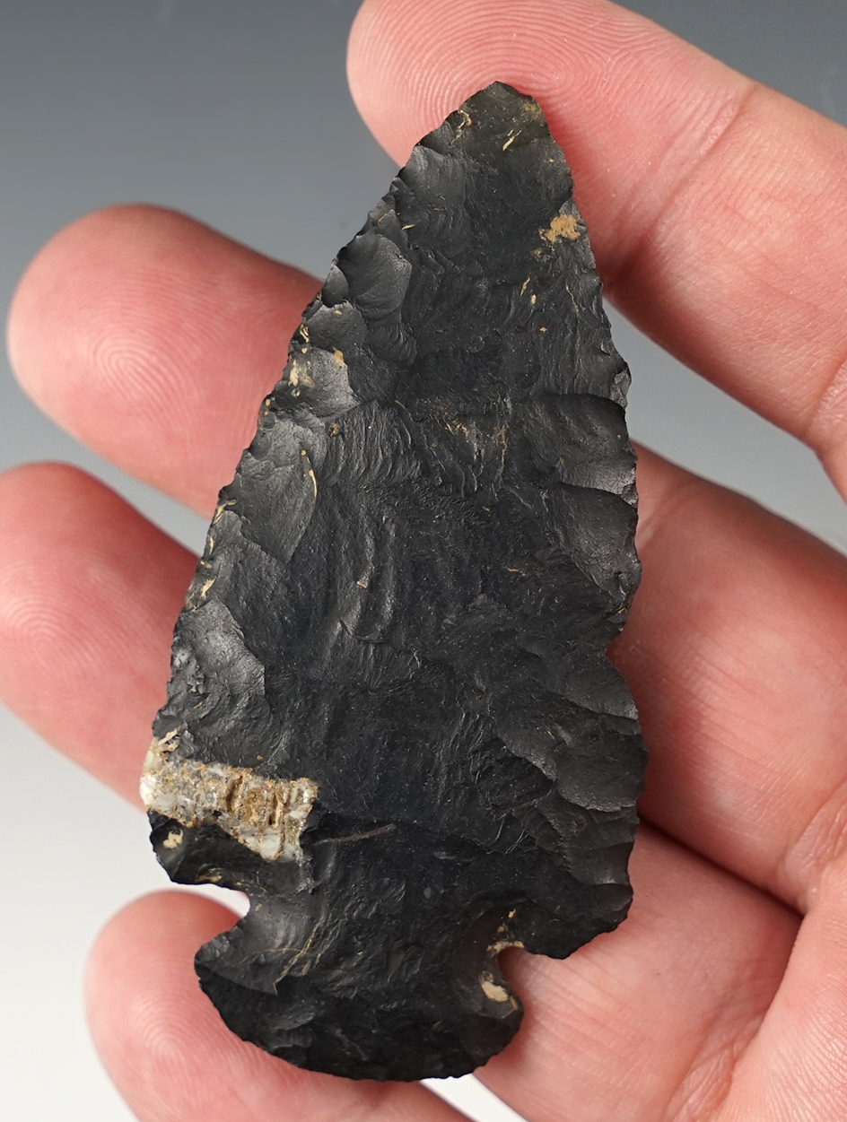 2 11/16" Dovetail found in Ohio. Comes with a Davis COA.