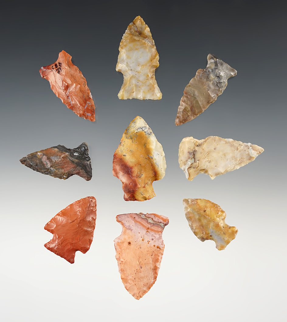 Set of 9 highly colorful Flint Ridge points found in Ohio. The largest is 1 3/4".