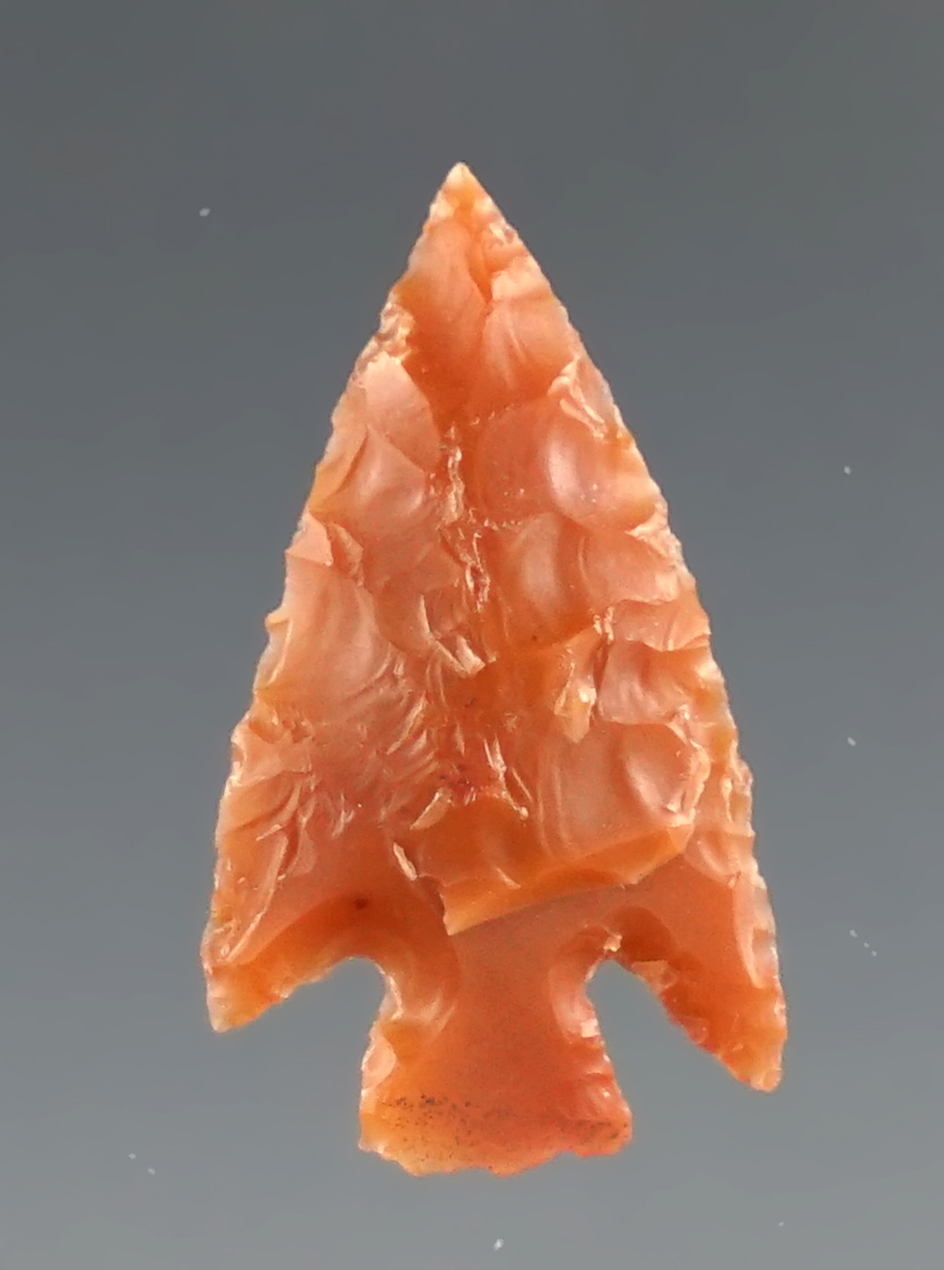 13/16" Columbia Plateau found in Klickitat Co., Washington. Ex. Charles Mitchell. Stermer COA.