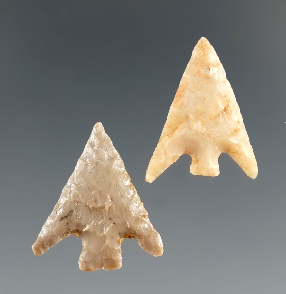 Pair of Columbia Plateau points found in Washington, largest is 3/4".