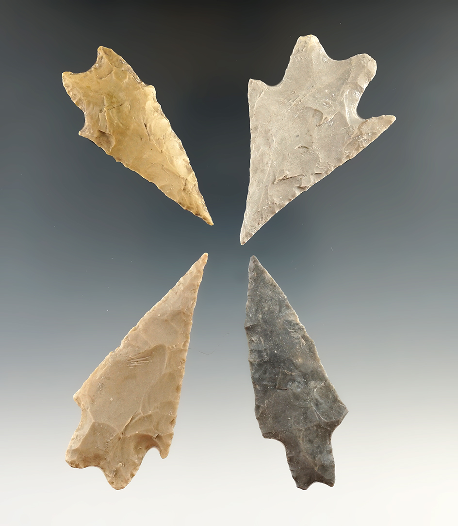 Set of four Pedernales points found in Central Texas, largest is 2 3/4".