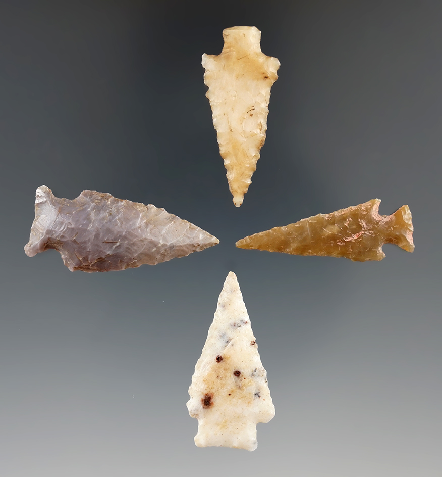 Set of four arrowheads found near the Columbia River, Klickitat Co., Washington, largest is 1 7/16".