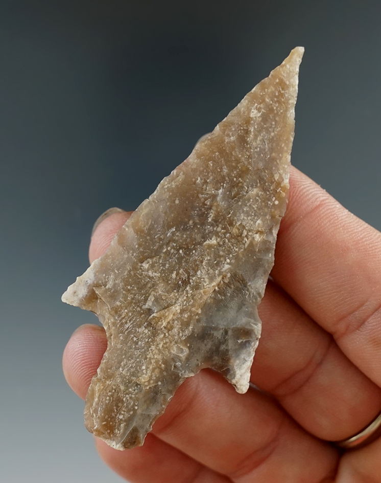 2 13/16" Langtry that is nicely styled found in Bandura Co., Texas. Ex. Shannon Graham. Rogers COA.