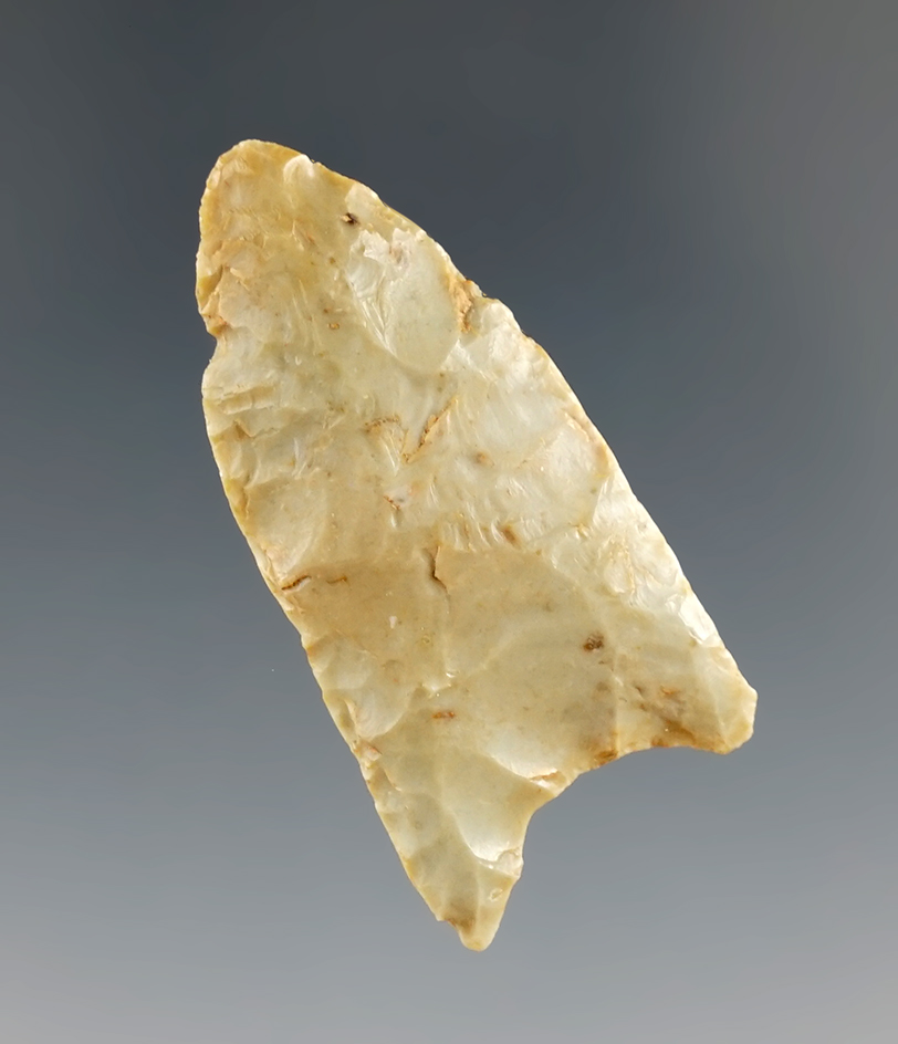 2 3/4" Paleo Quad found in DeKalb Co., Tennessee. Comes with a Bennett COA.