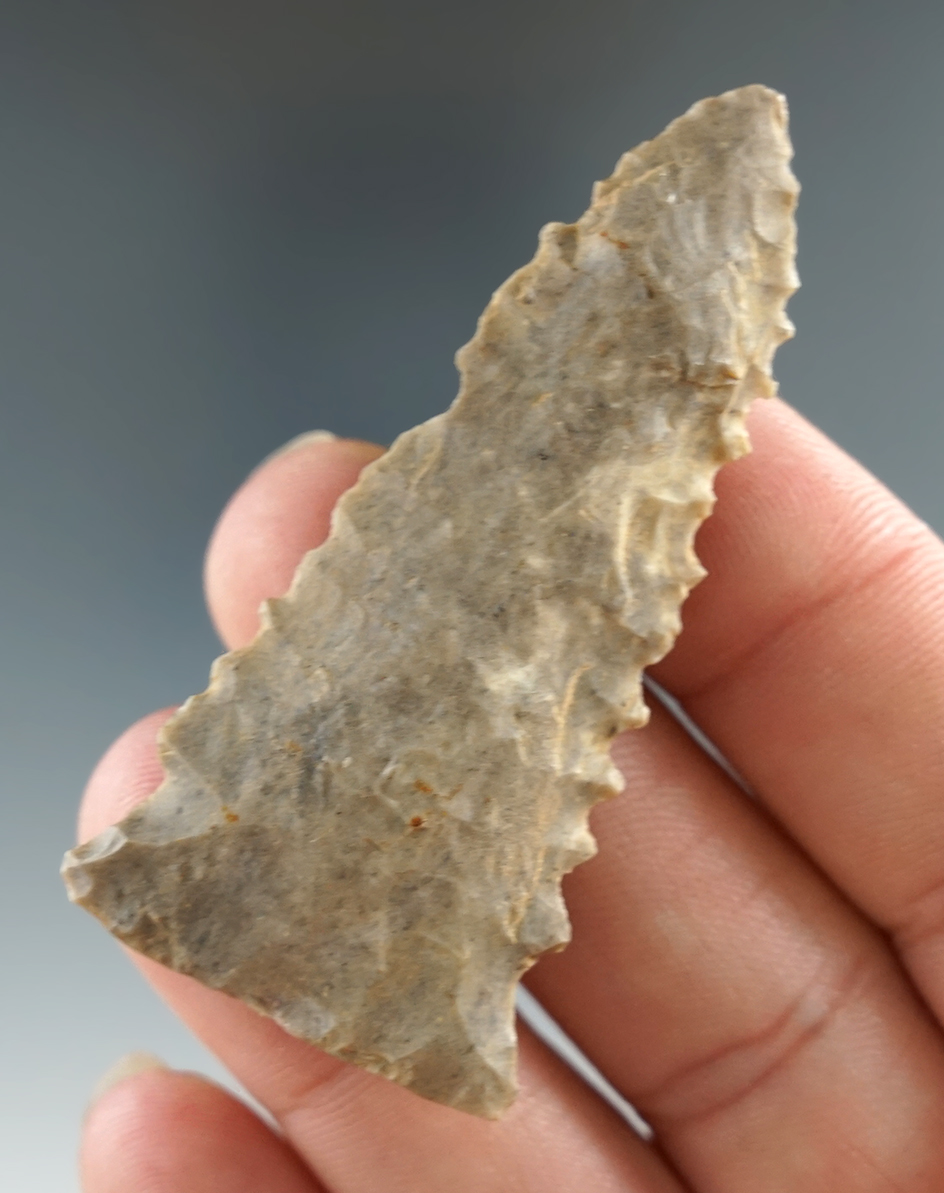 2 1/4" Pinetree found in Tennessee. Ex. Dave Kittler Collection. Comes with a Bennett COA.