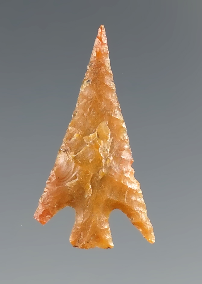 7 /8" Columbia Plateau made from Yellow-Brown Chert, Klickitat Co., Washington. Stermer COA.