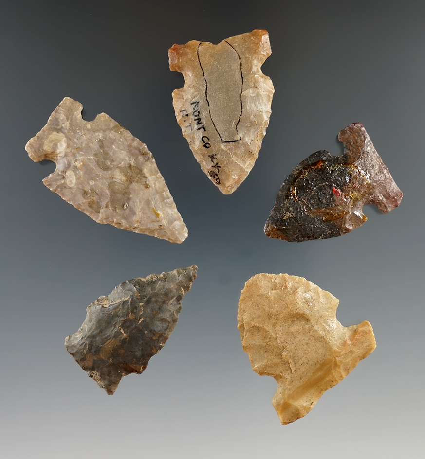 Set of five Kentucky points, largest is 1 3/4"