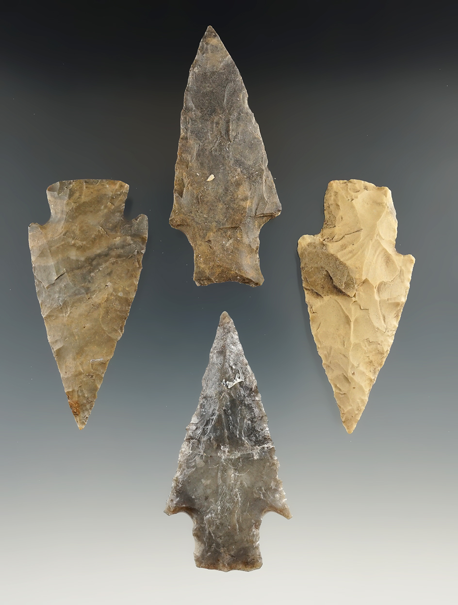 Set of four Lang points found in Texas, largest is 2 5/8".