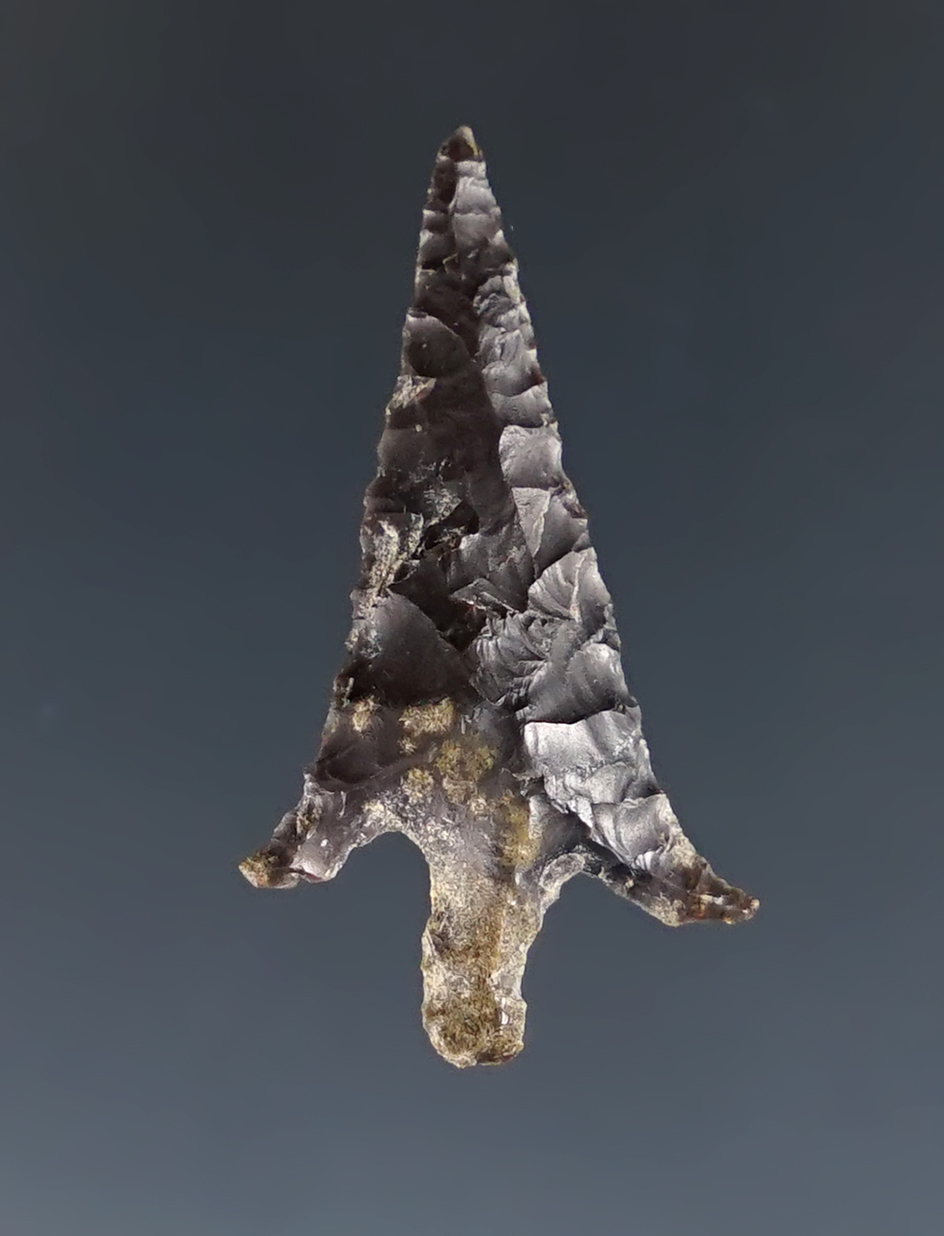 Nice curved ears on this 1 1/16" Gem Point found near the Columbia River.