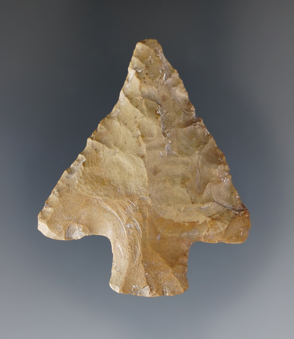 2" Cotaco Creek found in Tennessee and made from nicely patinated chert.