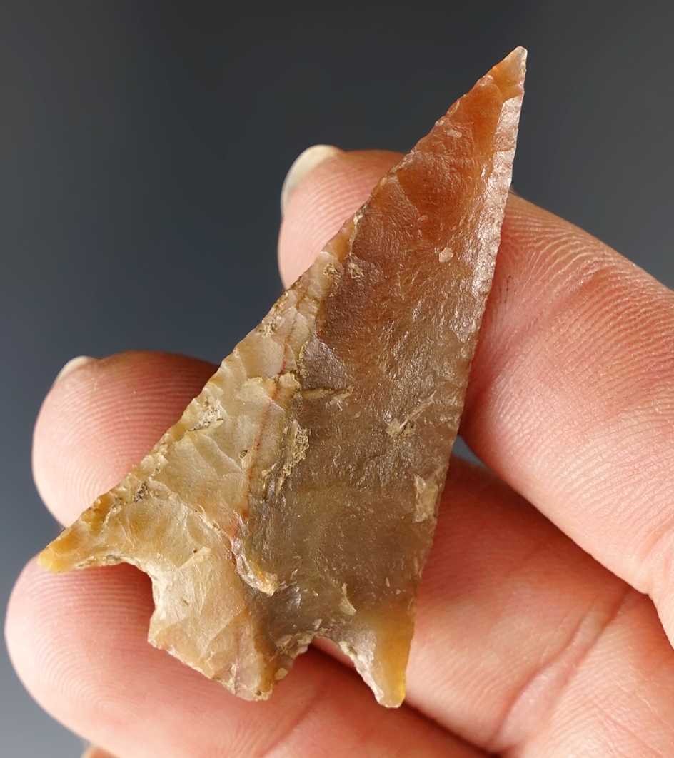 Beautifully styled 1 15/16" Gatecliff - attractive semi-translucent material with exceptional flakin