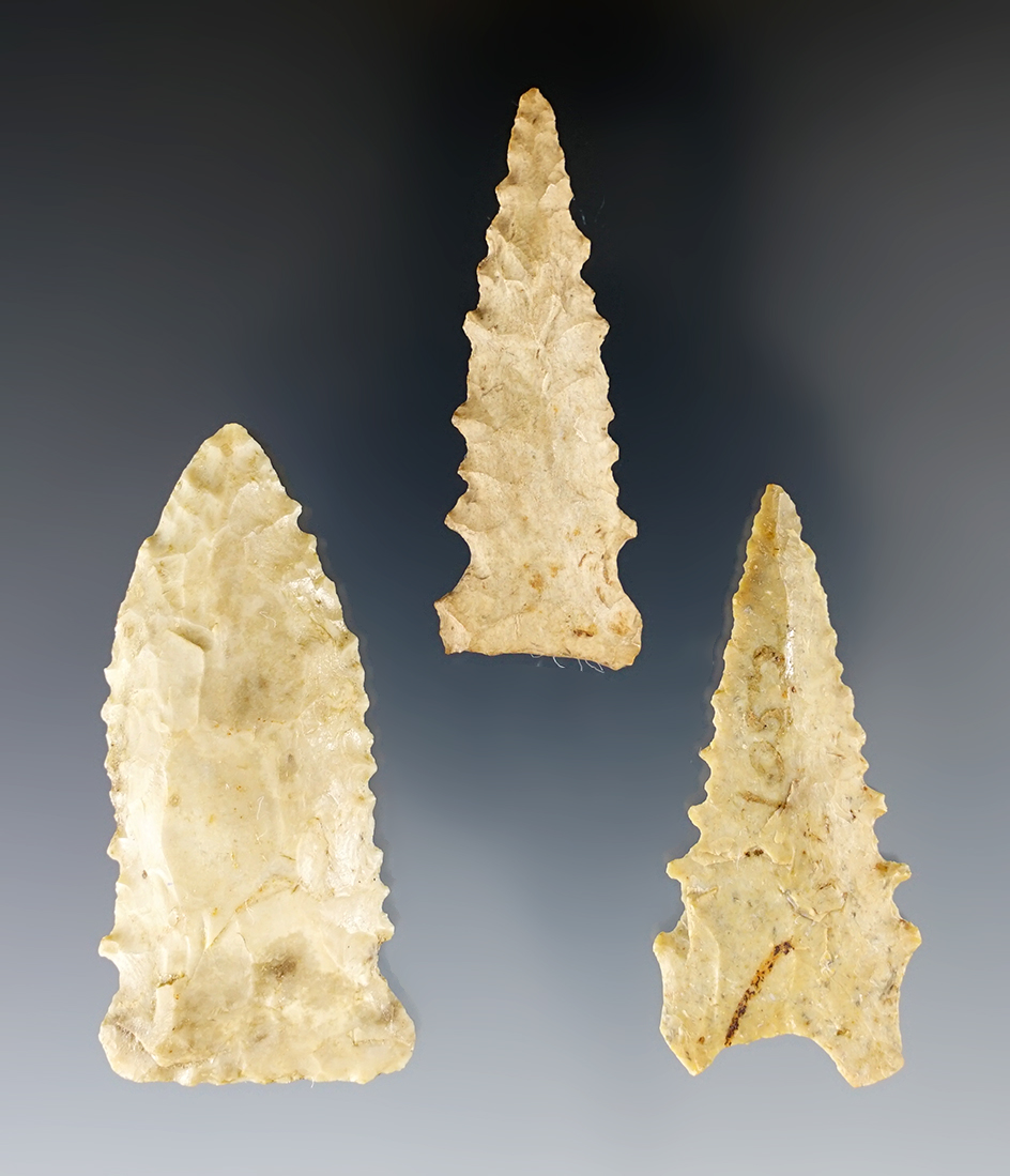 Set of 3 Serrated Kentucky points in good condition. The largest is 2 1/4".
