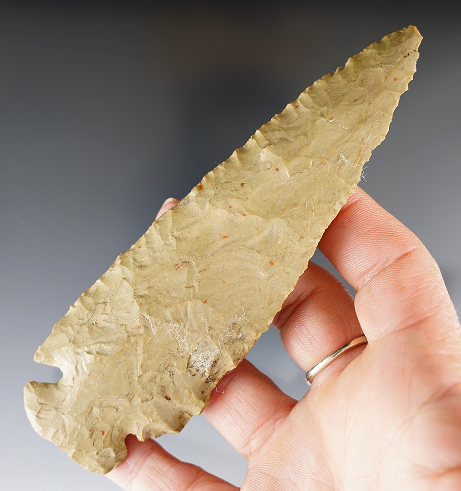 Large, 5 1/8" Dovetail found in Kentucky.