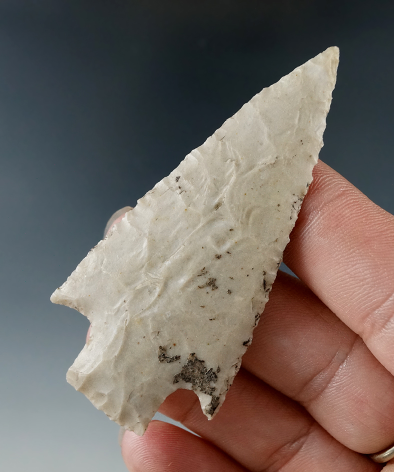 Ex. Museum! Classic style 2 11/16" Bulverde point is very well flaked found in Texas.