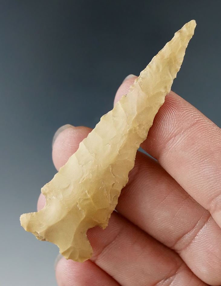 Ex. Museum! 2 5/8" Ensor found in Texas.