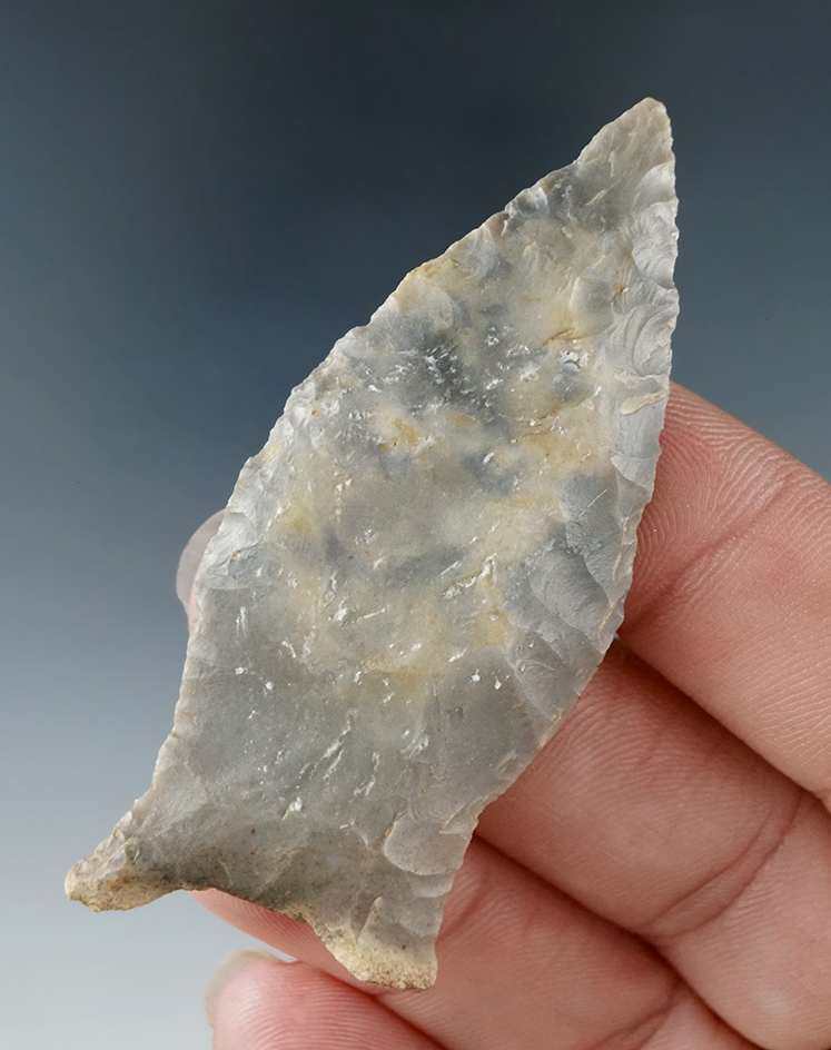 2 1/2" Paleo quad found by Ron Orberson along a river in spring bluff, Missouri.