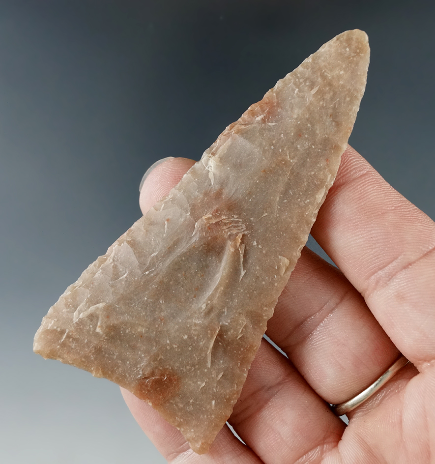 Ex. Museum! 3 3/8" Tortugas beveled knife made from beautiful material found in Texas.