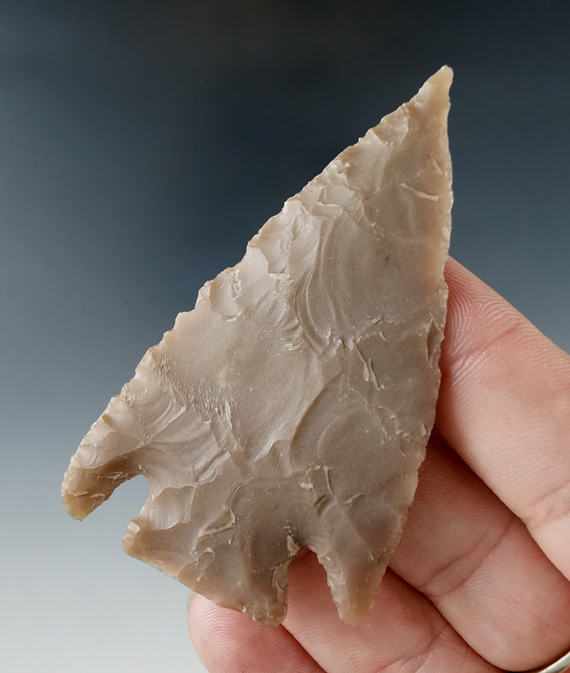 Nice flaking and style on this 2 3/4" Castroville found in Curry Co., Texas.