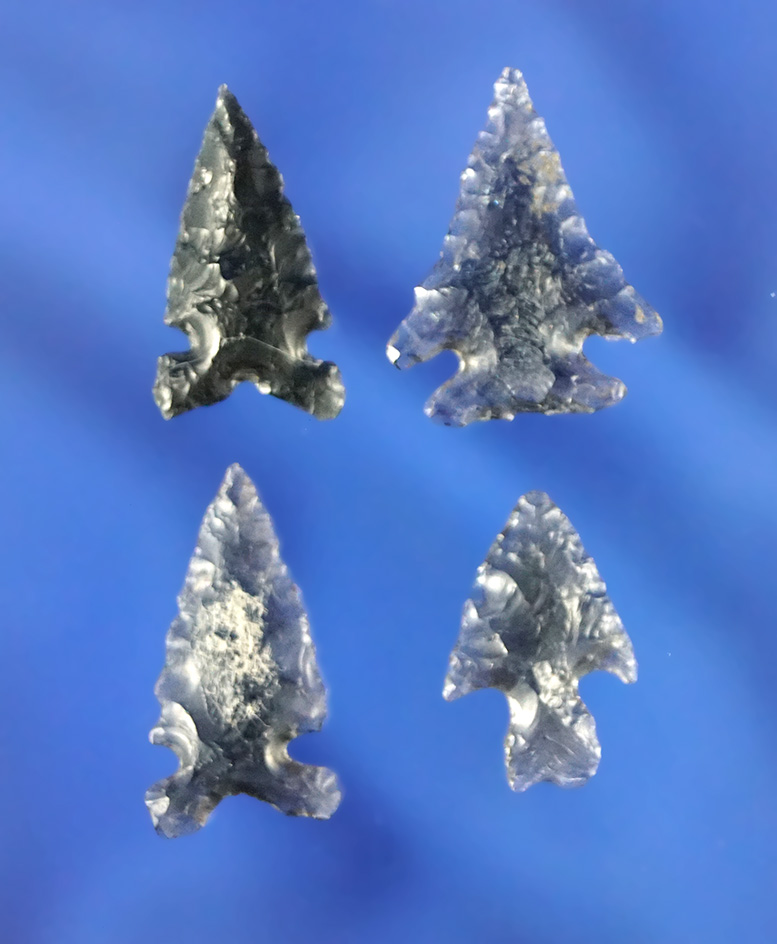 Set of four very nice obsidian arrowheads found near the Columbia River, largest is 13/16".
