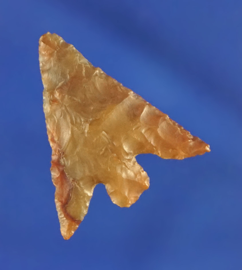 Beautifully styled wings on this 7/8" Columbia Plateau- thin and well styled found near the Columbia