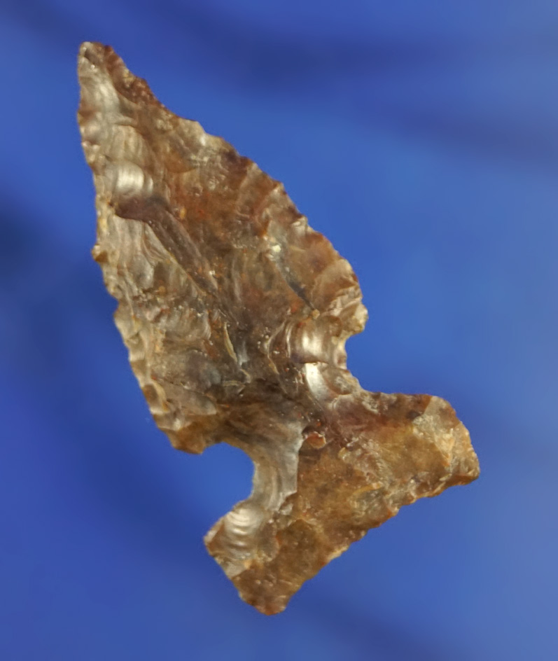 1 13/16" Cold Springs Sidenotch found in the Columbia River Plateau region. Stermer letter of auth.