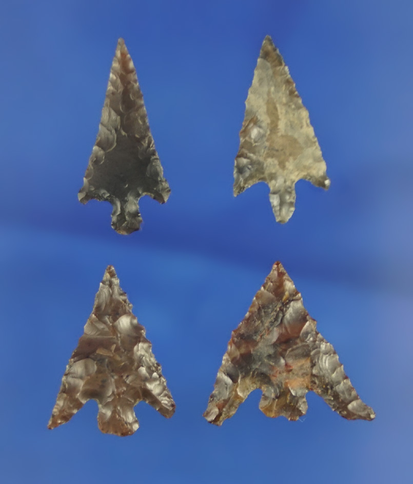 Set of four Columbia River arrowheads, largest is 1",  found by Norma Berg  near the Columbia River.