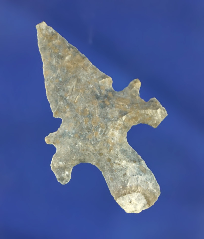 Exceptional eccentric serrations on this 1 7/16" Duran point found in Texas.