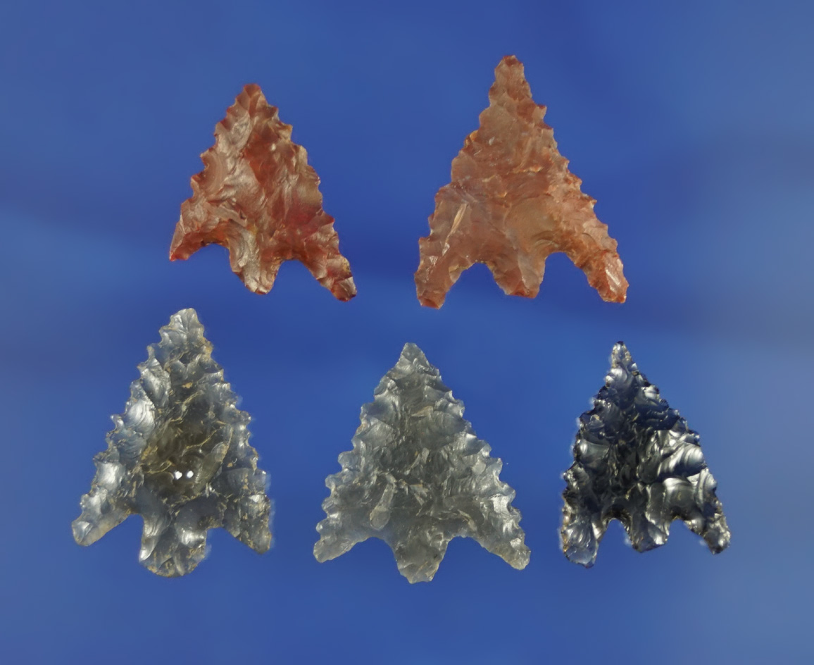 Set of five very nice Rogue River points found in Jackson Co.,  Oregon. Largest is 15/16".