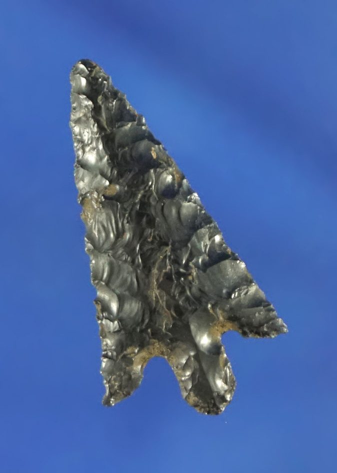 1" obsidian Columbia Plateau found in Oregon.