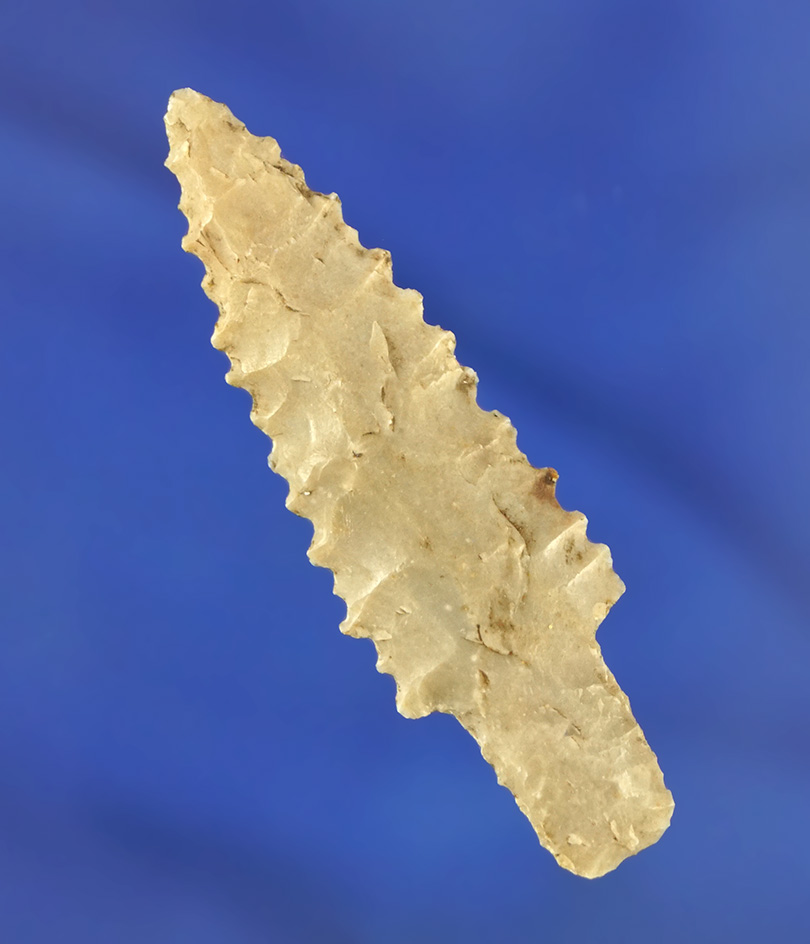 2" Moran point found in Travis County Texas with excellent edge serrations. Rogers COA.