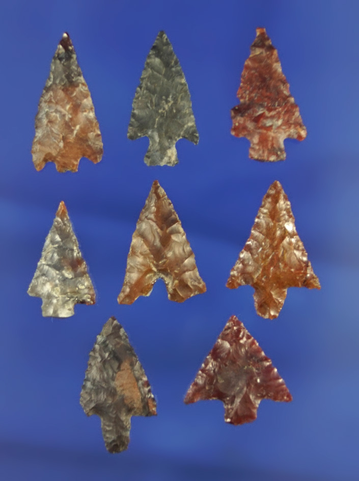 Set of 8 assorted Columbia River arrowheads, largest is 7/8" found by Norma Berg - Columbia River.