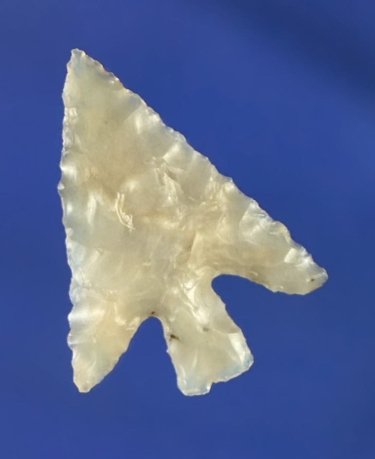Well flaked 1" Columbia Plateau - high grade Flint - found by Norma Berg near the Columbia River-