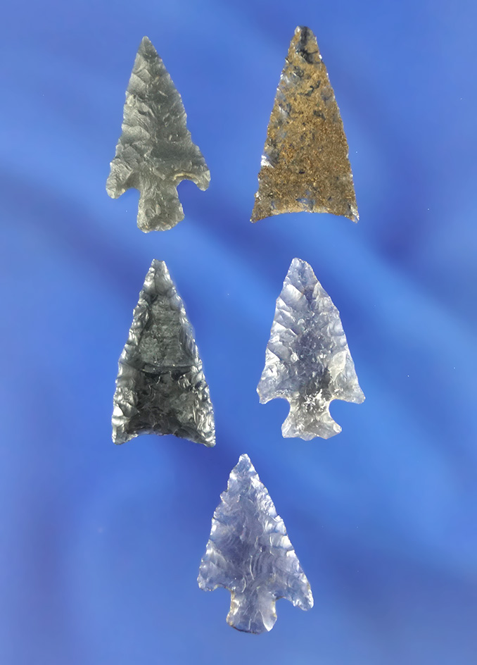 Set of five beautiful Columbia River Gempoints made from obsidian, largest is 15/16".