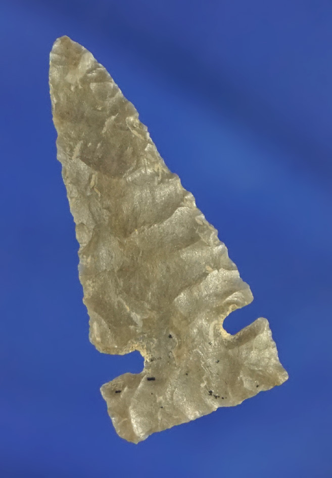 Well styled 1 1/4" Sidenotch found near the Columbia River.