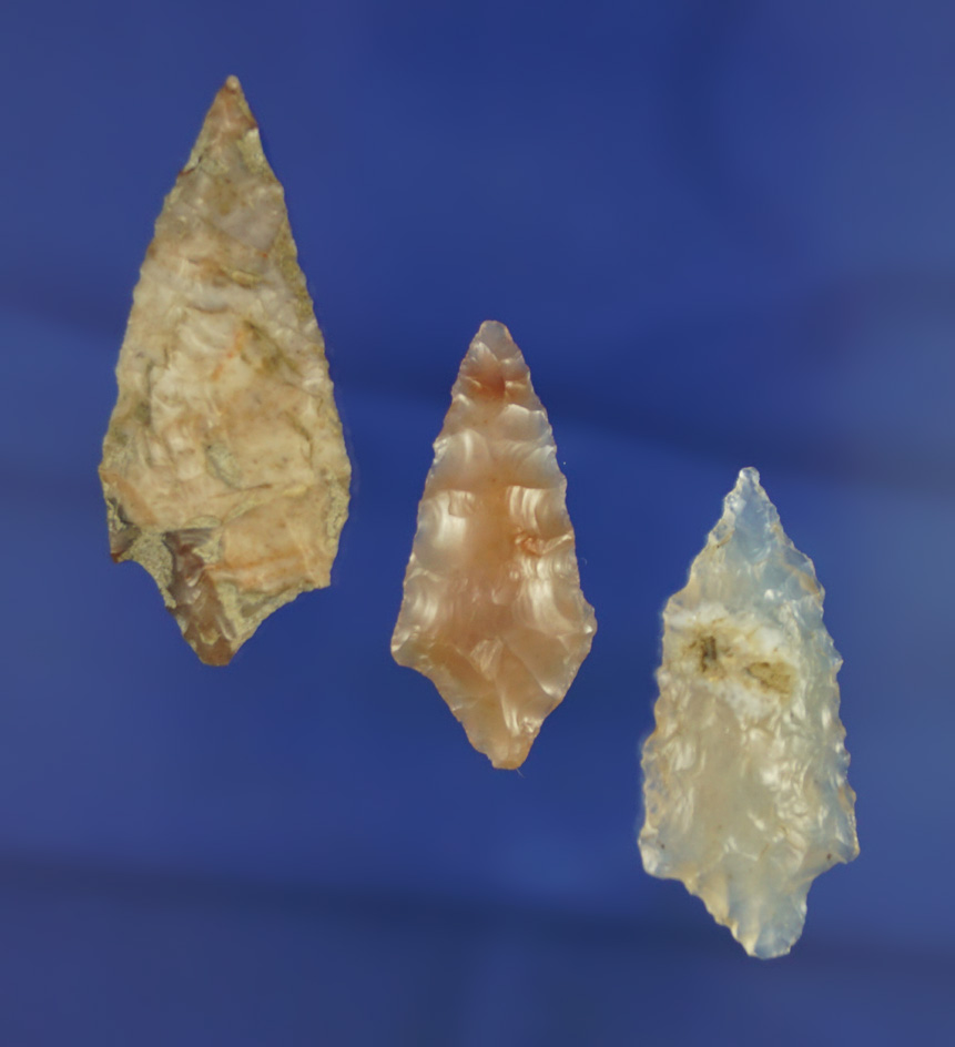 Set of three nice Rabbit Island Dart Points found near the Columbia River, largest is 1 7/8".