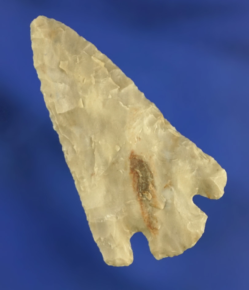 1 9/16" Eastgate found near the Columbia River.