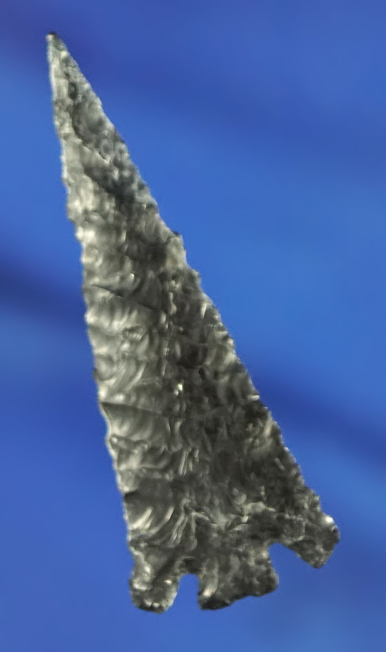 1 5/8" paper thin obsidian Eastgate found near the Columbia River.