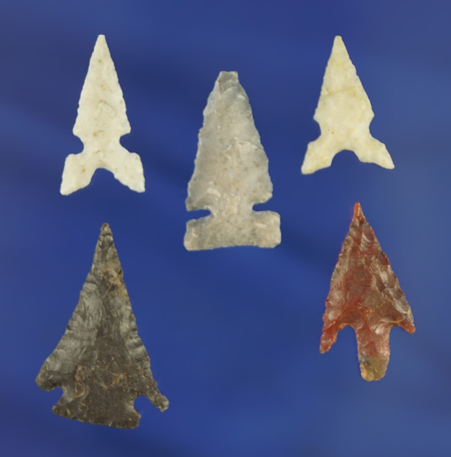 Set of five assorted arrowheads found in Texas, largest is 1 1/16".