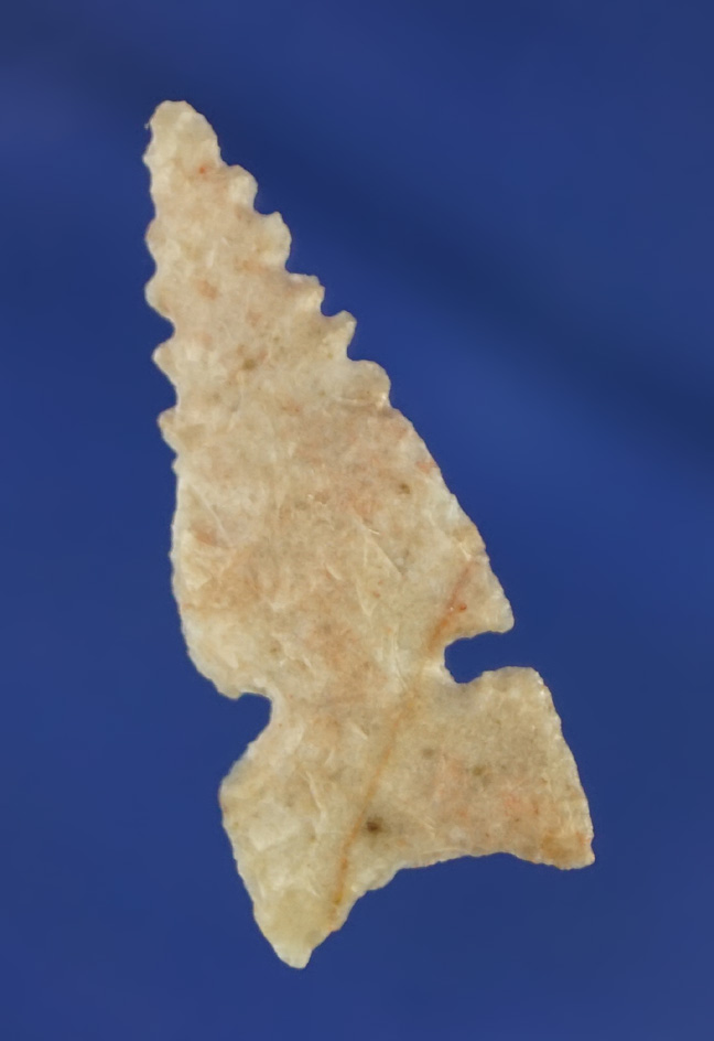 1 1/4" Sidenotch point with very unique serrations near the tip found in Texas.