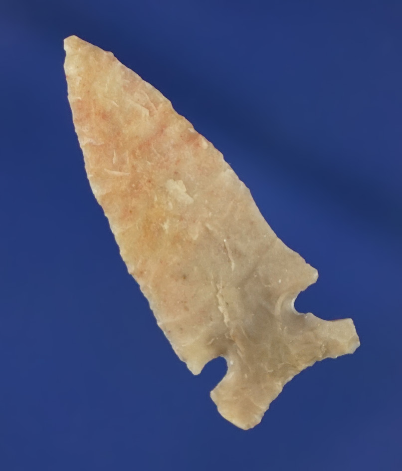 1 1/8" very thin and nicely styled Texas Sidenotch Bird Point.