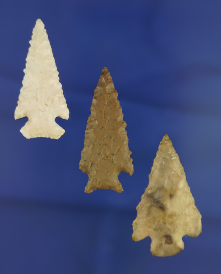 Set of three Columbia River arrowheads nice condition, largest is 1 5/8".