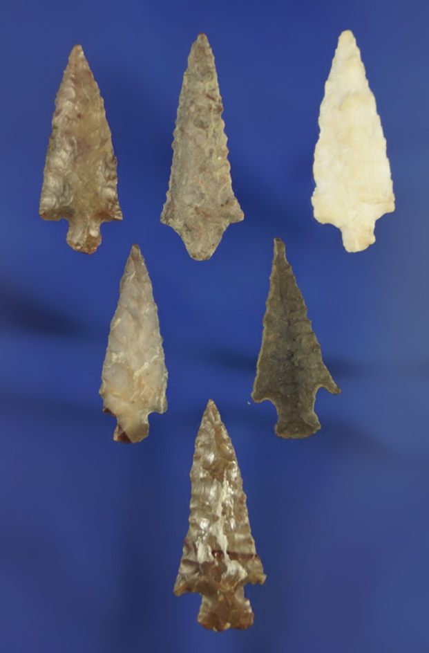 Set of six assorted Columbia River arrowheads, largest is 1 1/4"  found by Norma Berg.