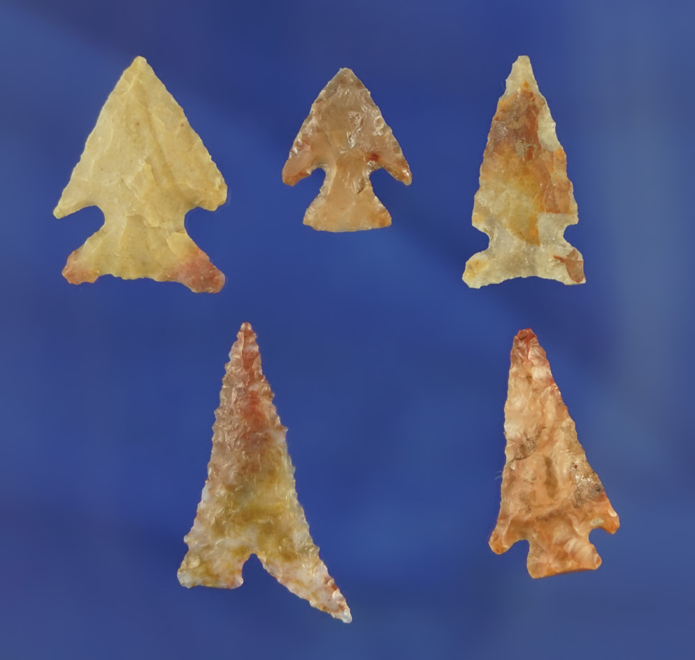 Set of five assorted arrowheads found in the Western U.S., largest is 1 1/16".