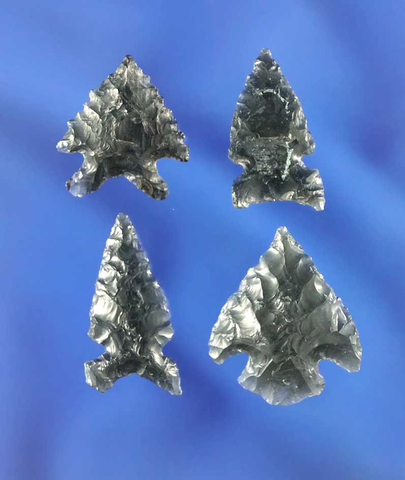 Set of four well styled obsidian arrowheads found in Oregon, largest is 7/8".
