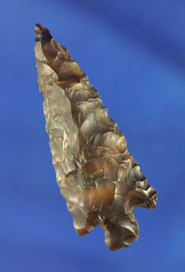 1 1/2" Rose Springs found near the Columbia River.