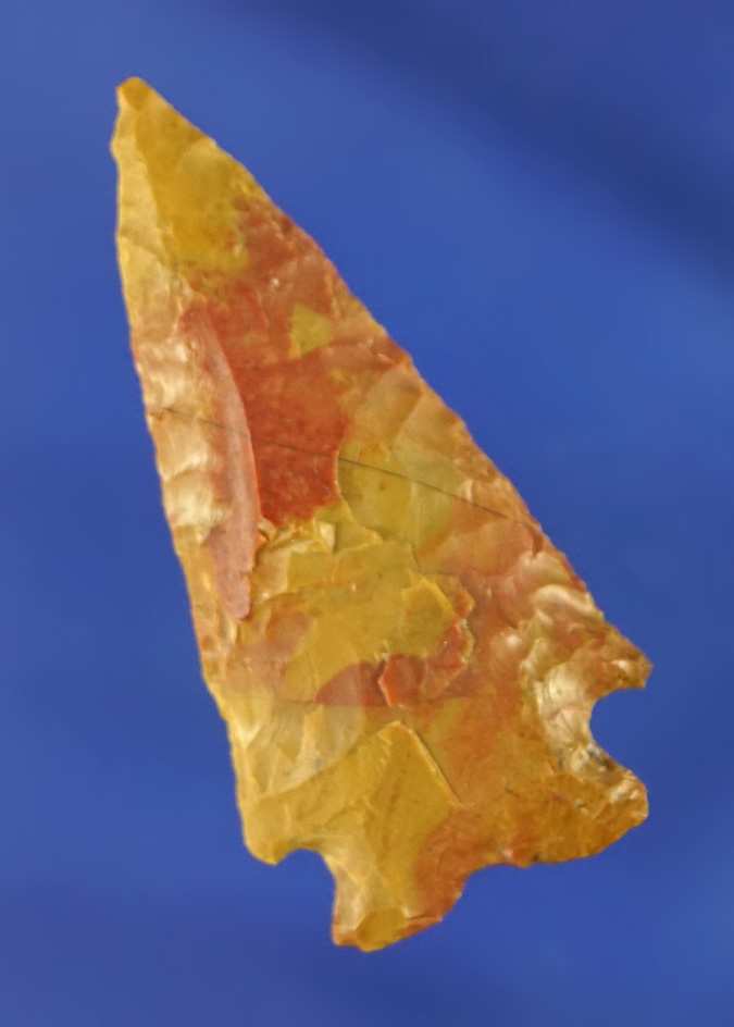 1 1/2" beautiful red and yellow Jasper Cornernotch found near the Columbia River.