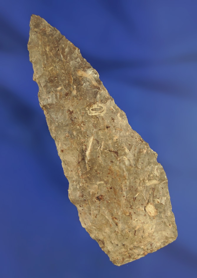 3 1/8" Plateau Pentagonal found near the Columbia River.