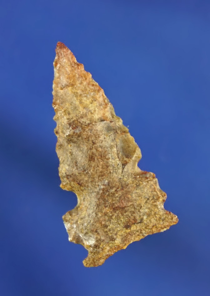 Rare style! 15/16" double-notched Gempoint found near the Columbia River.