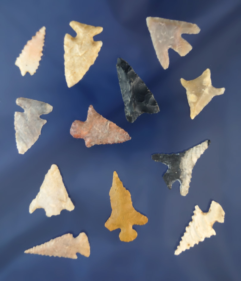 Nice set of 12 assorted southwestern U. S. Arrowheads, largest is 1 1/16".